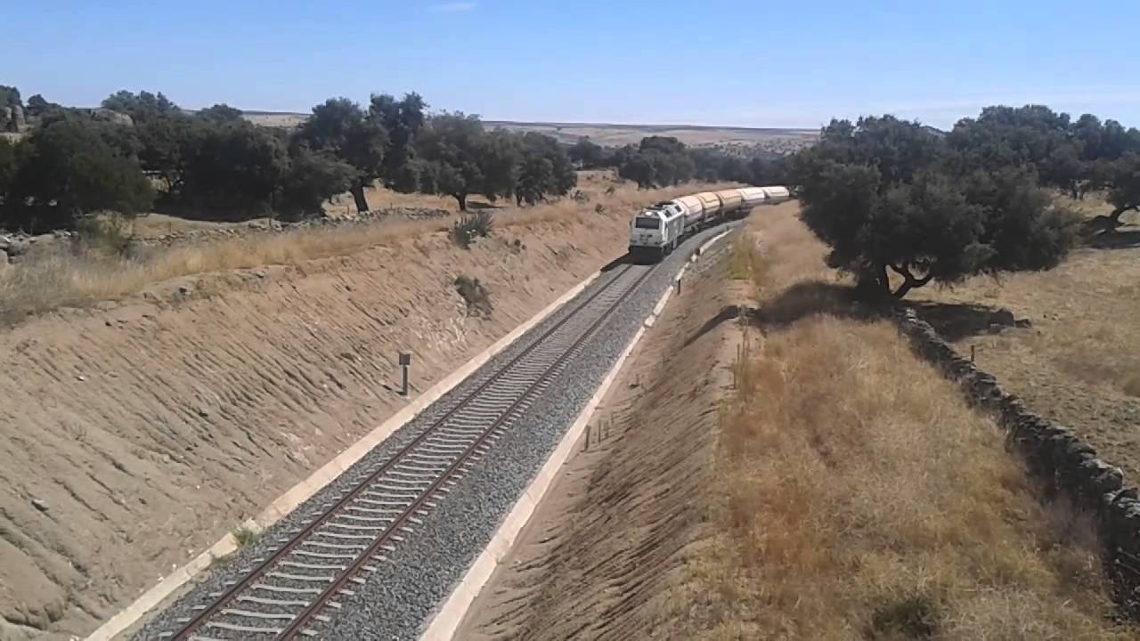 Tren vacio de amoniaco por Bodonal.