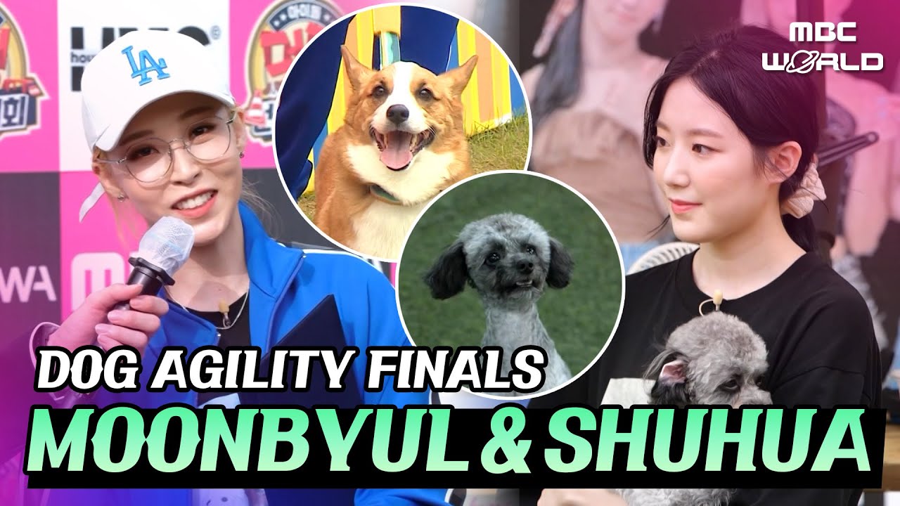 [C.C.] Moonbyul and Shuhua's Dogs Meet in the Finals! Who Will Be the Winner?!🏆 #MOONBYUL #SHUHUA