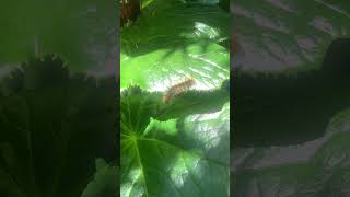 IMG 7904