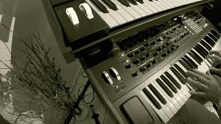 Arturia Polybrute | Playing some custom sounds in sepia