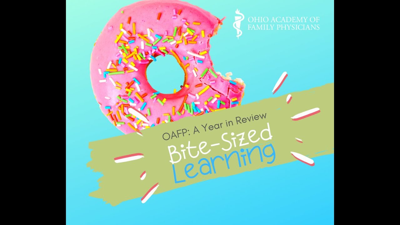 Bite-Sized Learning: A Year in Review