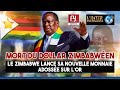 Mort du dollar zimbabwen  le zimbabwe lance sa nouvelle monnaie adosse sur lor