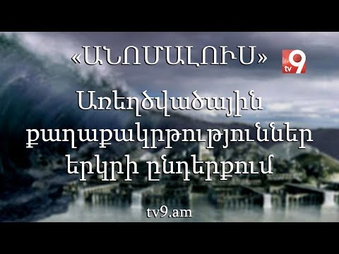 Video: Ո՞րն է կենդանի էակների կյանքի ցիկլը: