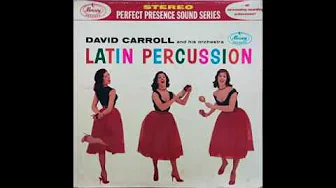 David Carroll - Baia David Carroll - Baia