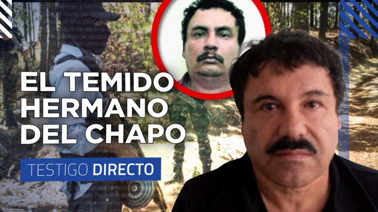 El GUANO: el hermano del Chapo Guzmán a cargo del CARTEL DE SINALOA - Testigo Directo