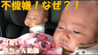 新生児 可愛い赤ちゃん動画です 癒されるかも 動画の最後で不機嫌な理由も判明します Youtube