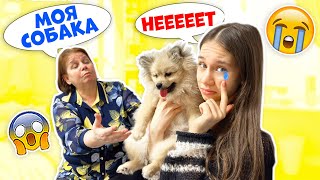 ПРОЩАЕМСЯ с Щенком👉 Отдаём БАБУШКЕ?? 😱