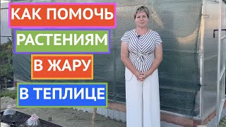 СПАСАЕМ РАСТЕНИЯ В ТЕПЛИЦЕ И НА ГРЯДКАХ ОТ ЖАРЫ!