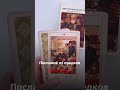 Если это видео попалось вам - это знак #экстрасенс #таро #тарорасклад #предки #имперскиевиньетки