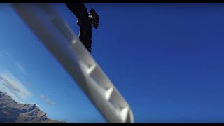 EAGLE CRASHED MY DRONE! (DJI - Phantom)