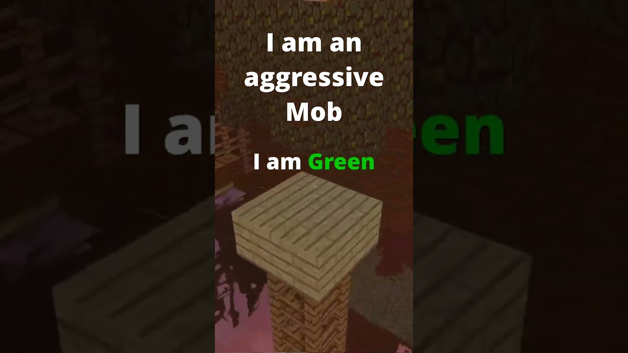 Guess What Minecraft Mob I Am!