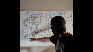 Glue Records - Explained in 2 minutes