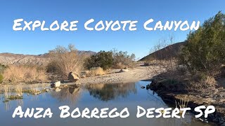 Exploring The Mysteries Of Coyote Canyon - Adventures Await!
