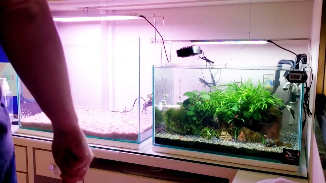 Manutenção/Rework - Aquário 72L (60x30x40)