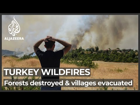 Turkey declares ‘disaster areas’ as wildfire death toll rises