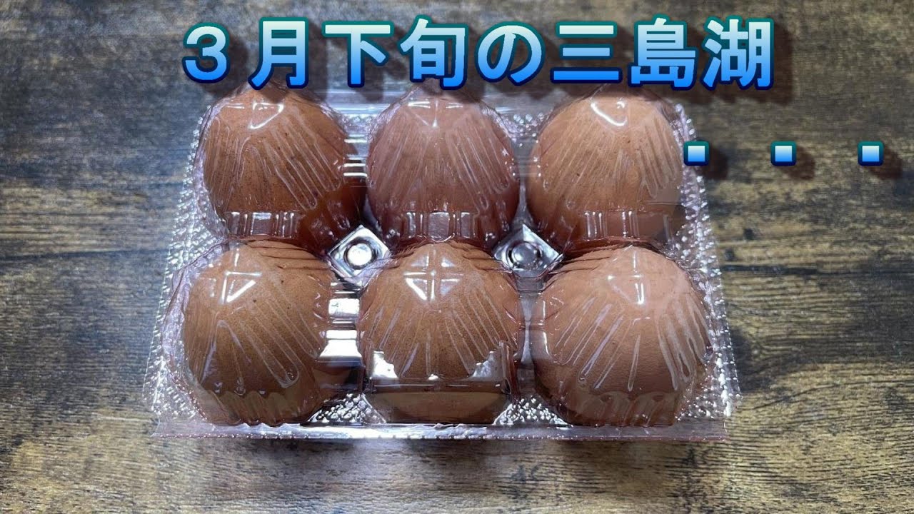 ３月下旬三島・・・