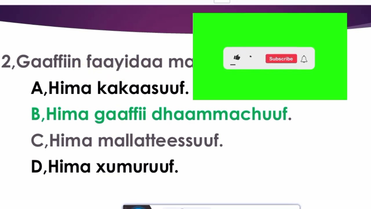 Gaaffii waa'ee sirna tuqaalee.