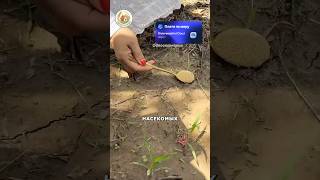 Вступление - 6 