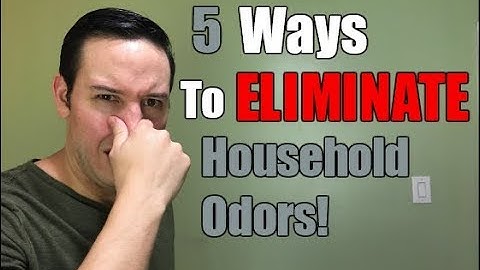 5 Ways To ELIMINATE Household Odors | Simple Odor Removal Tips