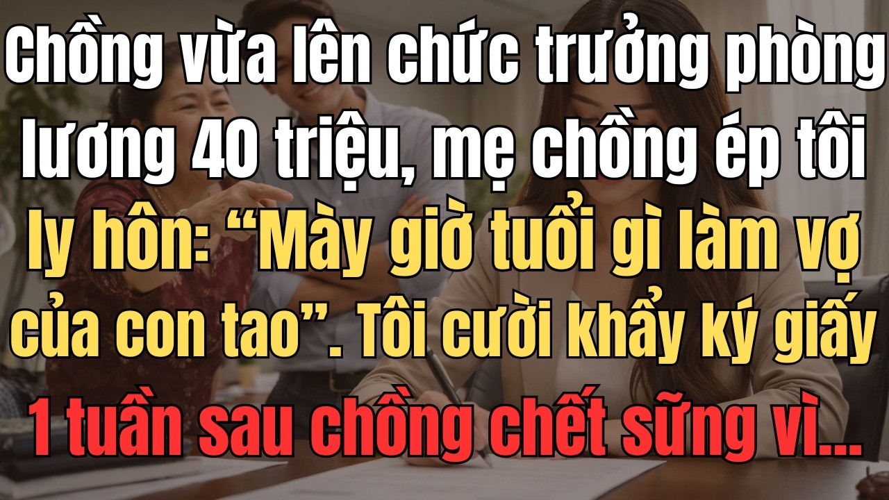 Chồng Vừa Lên Chức Trưởng Phòng Lương 40 Triệu, Mẹ Chồng Ép Tôi Ly Hôn: 