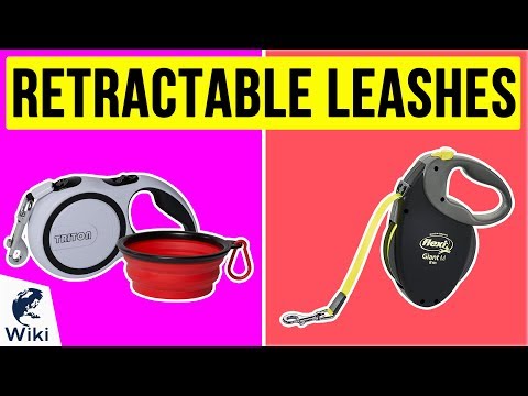 10-best-retractable-leashes-2020