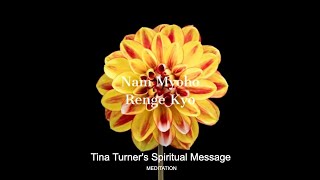 TINA TURNER's Spiritual Message | DAILY - MANTRA