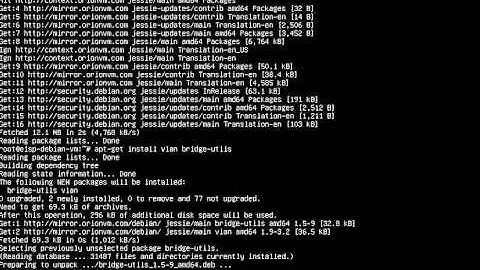 How to update debian and install VLAN and Bridge