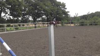Katie Flatwork
