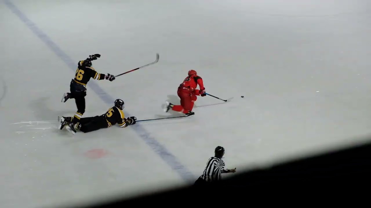 príprava HC Dukla Senica -  HO HAMIKOVO O.Z Hamuliakovo 8:5