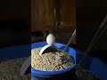 Mọi người giải thích cho tui #Hinhdaudo #vlog
