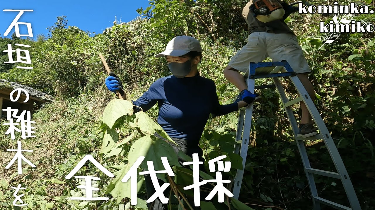 【古民家に住もう#115】30年放置された裏庭の手入れ