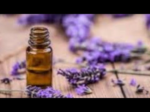 Video: Budinca De Lavanda Cu Lamaie