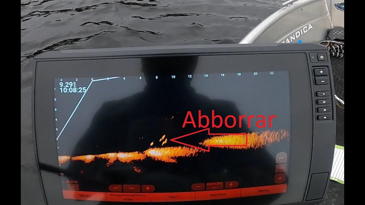 Utforskar ny sjö i jakt på Abborre och Gädda med Livescope