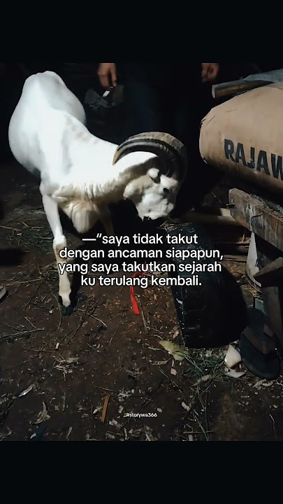 kiyu we ji ah