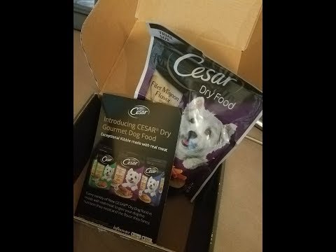 cesar dog food commercial 2018 music