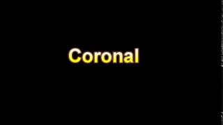 What Is The Definition Of Coronal - Medical Dictionary Free Online