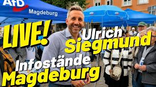 LIVE ❗️ AfD Ulrich Siegmund Magdeburg Infostand Landtagswahl Vision 2026 Sachsen-Anhalt 28.07.26