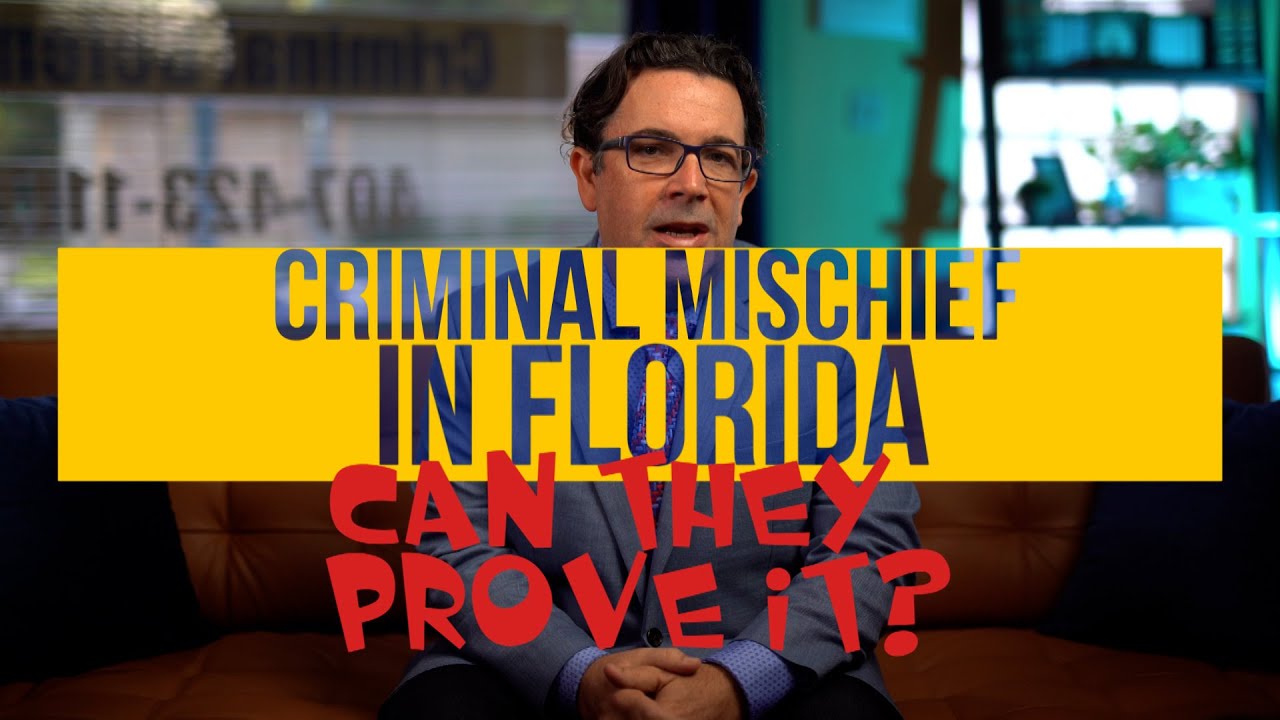 Criminal Mischief in Florida YouTube