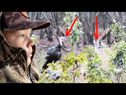 ともしびちゃん✧  Hunting Scene Our First Hunt of the Year Did Not Go as Planned! - YouTube