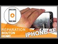 Nappe complète bouton home + bouton blanc iPhone 5S / SE
