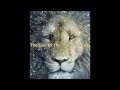 The Lion Of The Tribe Of Judah