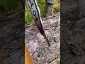 Cut a tree trunk with an electric saw using a frame for support #shorts #tools #cuttingskills #wood