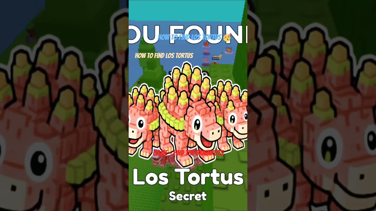 how to find los tortus 🥳 