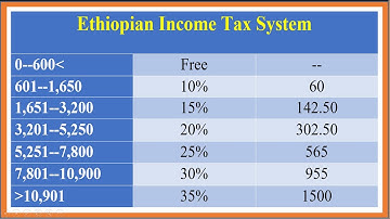 How to Prepare Employee Payroll Sheet on MS Excel|| in Amharic