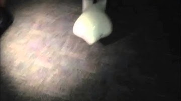 Brighton Programming Class - Finch Robots