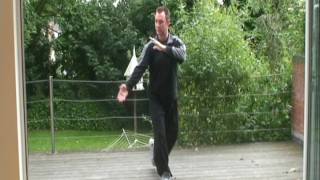 Download Lagu Yang Taiji 24 -  Brush Knee and Twist Step Posture 4 MP3