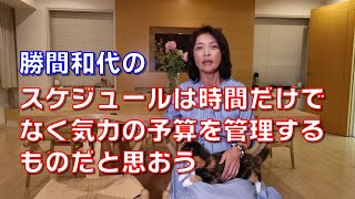 勝間和代の、スケジュールは時間だけでなく気力の予算を管理するものだと思おう