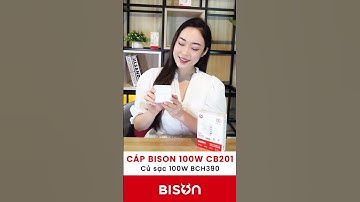 Cáp sạc Bison 100W CB201 & Củ sạc Bison 100W BCH390
