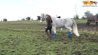 Close Contact Chaps with Tilly & Terry