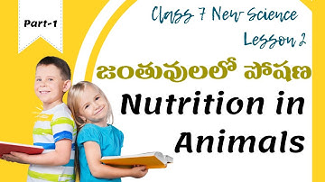 💥AP Class 7 New Science | Chapter -2 | Nutrition in Animals | Part -1
